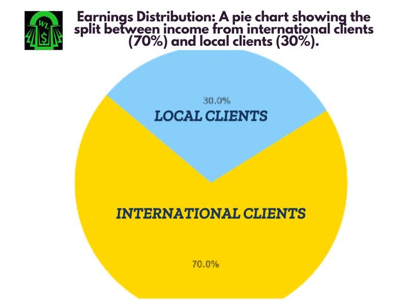 Pie chart displaying earnings distribution with 70 percent income from international clients and 30 percent from local clients.